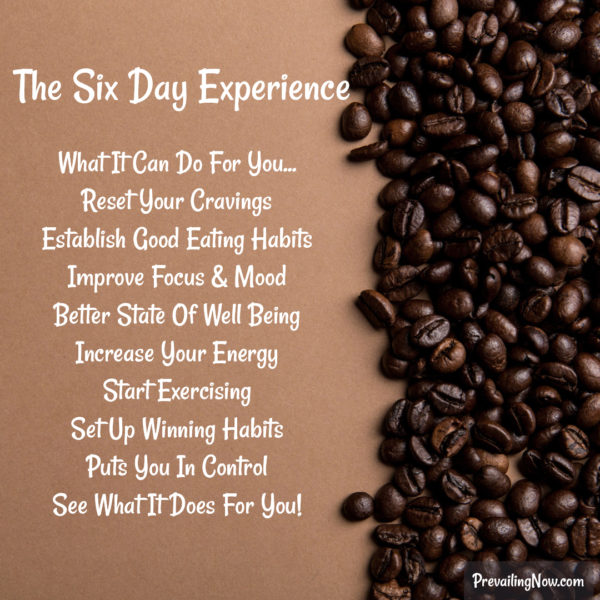 Experience The 6